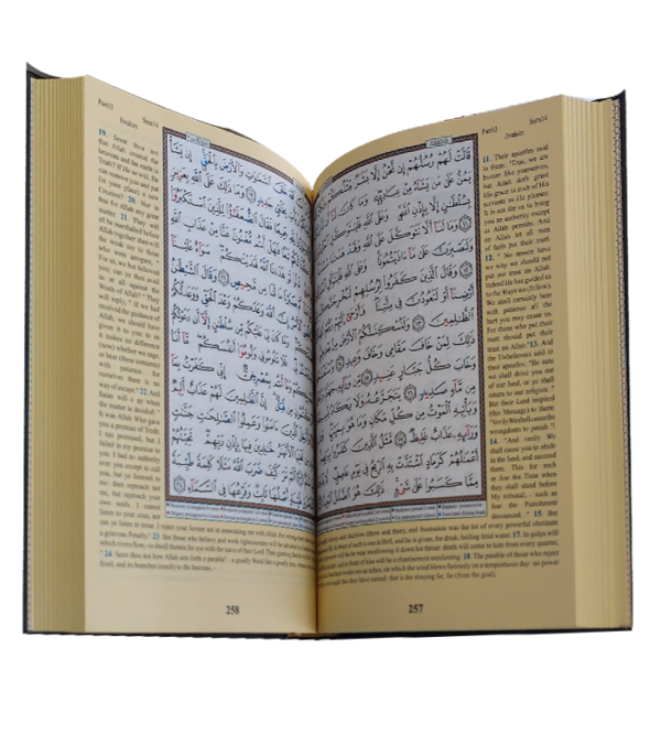 Tajweed Quran With Meaning Translation in English (16 X 24= AED-180) - Image 2